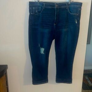 Terra & Sky jeans size 24W